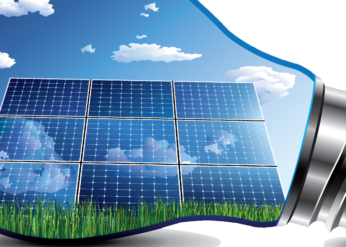 Backyard Revolution Review 2020 Does it work? THE GADGETOFFICE