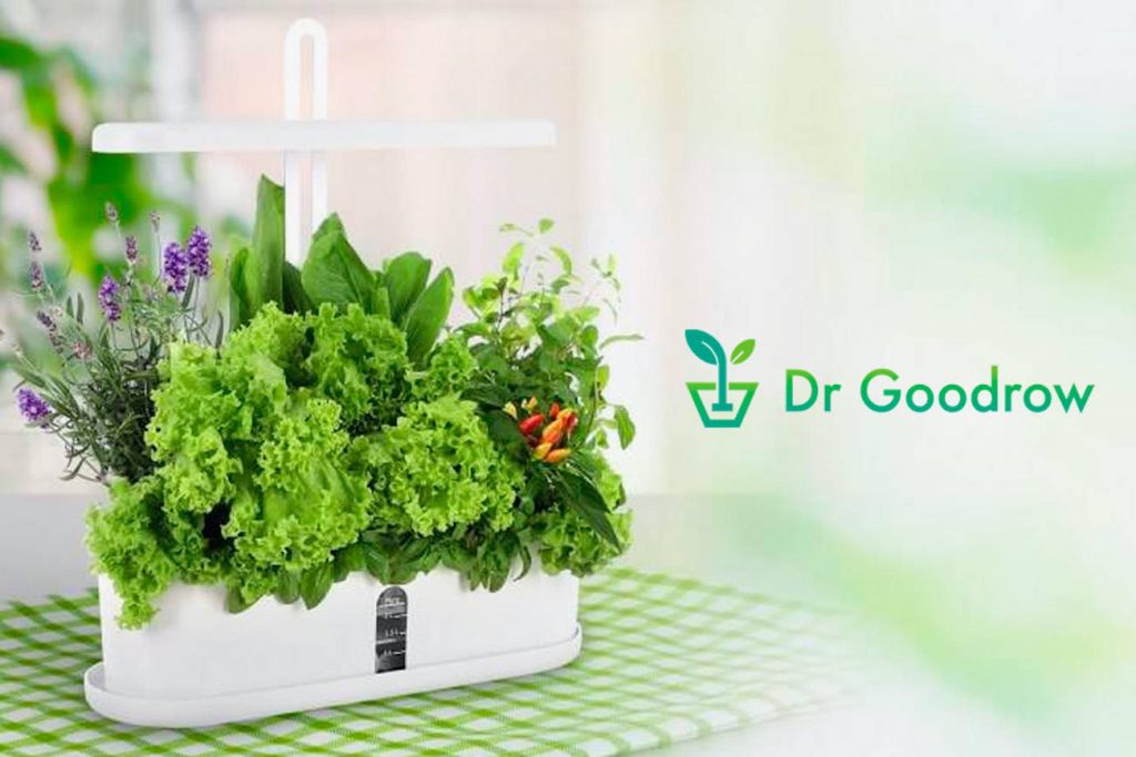 Dr Goodrow mini garden reviews.jpeg
