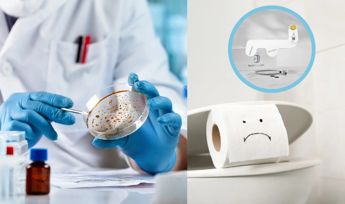 Bidets vs Toilet Papers.jpeg
